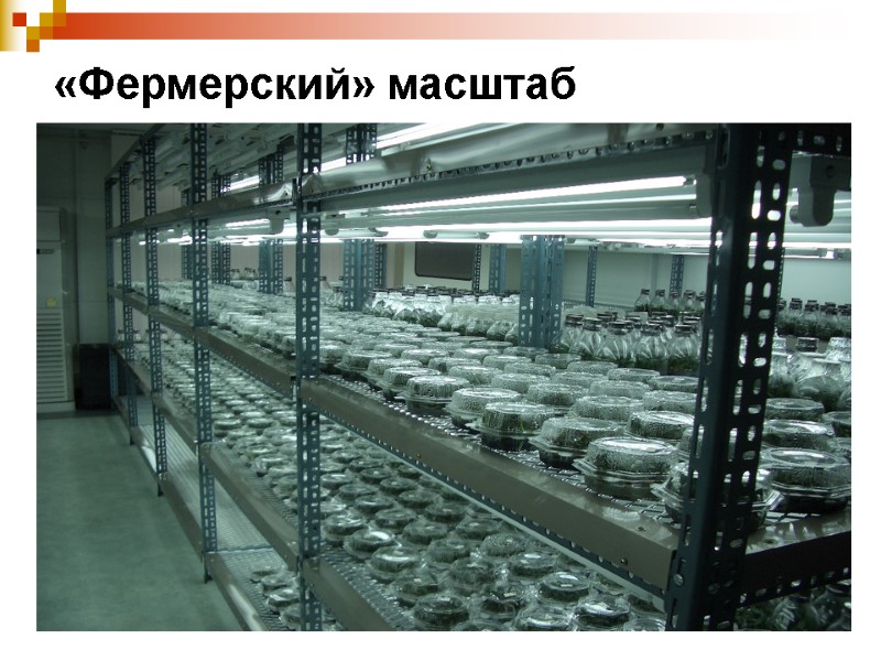 «Фермерский» масштаб